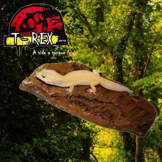 Pedra Aquecedora M Répteis | Terrário | Iguana | Pogona