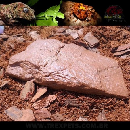 Pedra Aquecida Repteis