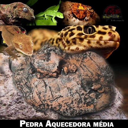 Pedra aquecida para répteis